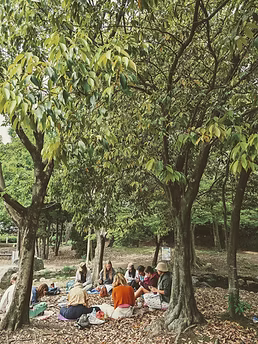 Parent group in nature